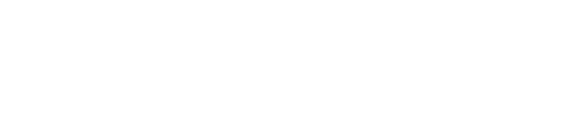 Troubadours